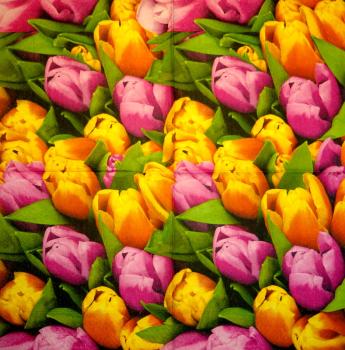 118 Tulpen - 3-lagig - Ambiente